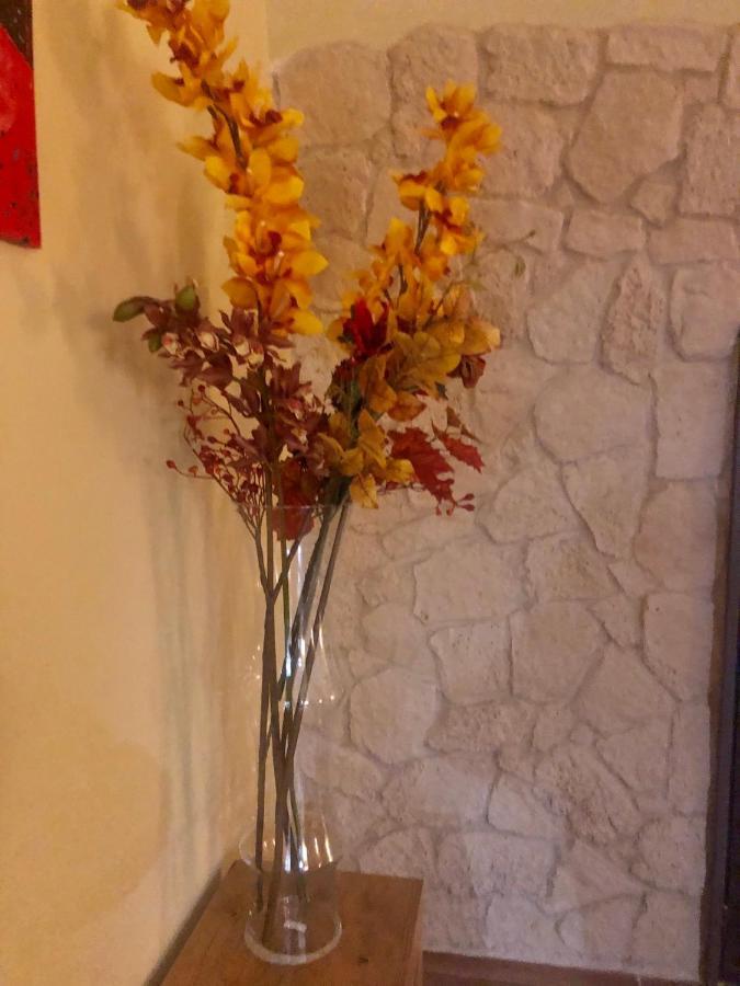 Al Vecchio Arco Appartament 巴里 外观 照片